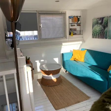 4 Seasons كاتفايك أن زي