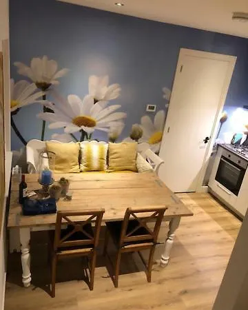 4 Seasons كاتفايك أن زي