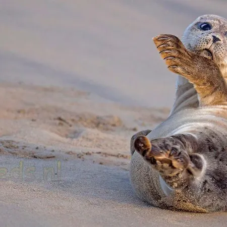 4 Seasons شقة كاتفايك أن زي